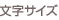 �����T�C�Y