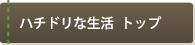�n�`�h���Ȑ����@�g�b�v